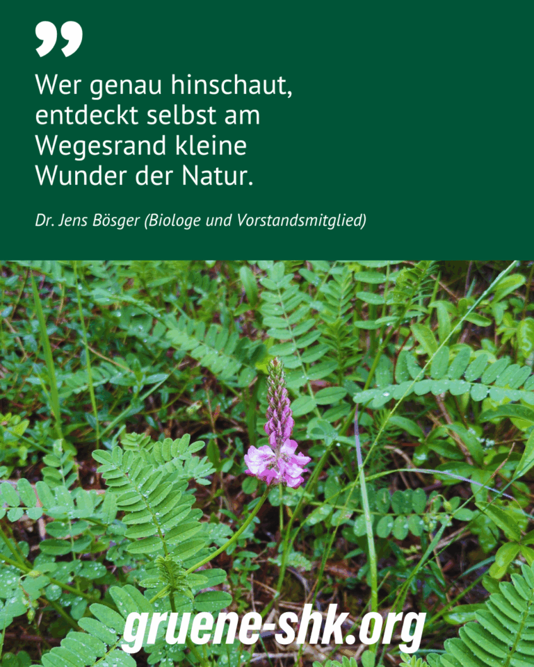 Wanderung auf den Alten Gleisberg – Naturerlebnis trotz Regen