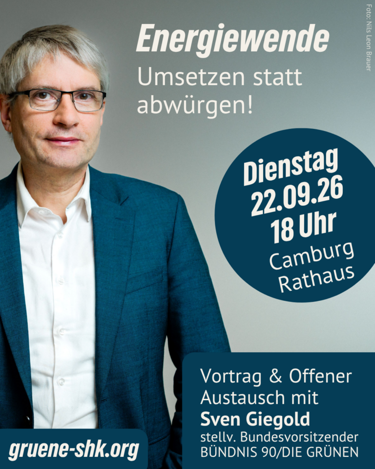 Vortrag mit Sven Giegold : Energiewende. Umsetzen statt abwürgen!